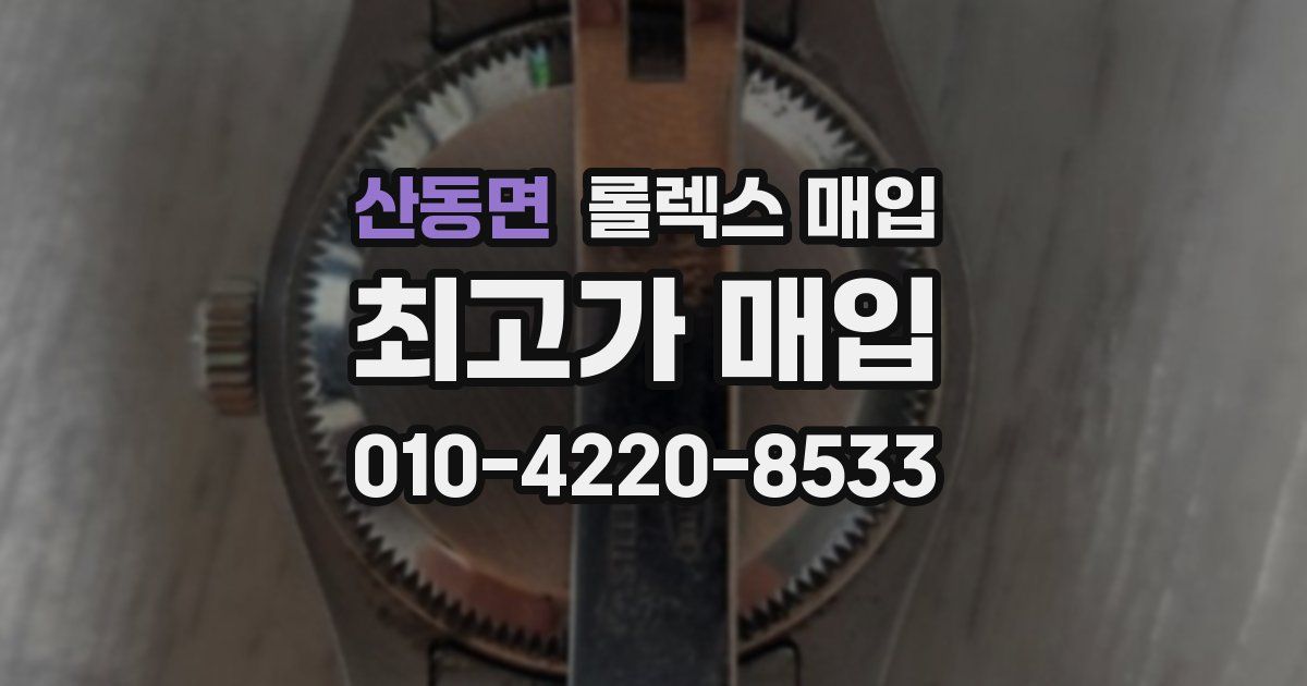 산동면 롤렉스 매입