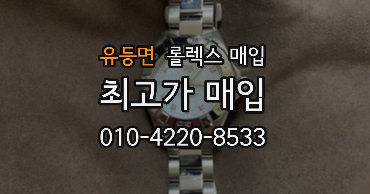 유등면 롤렉스 매입