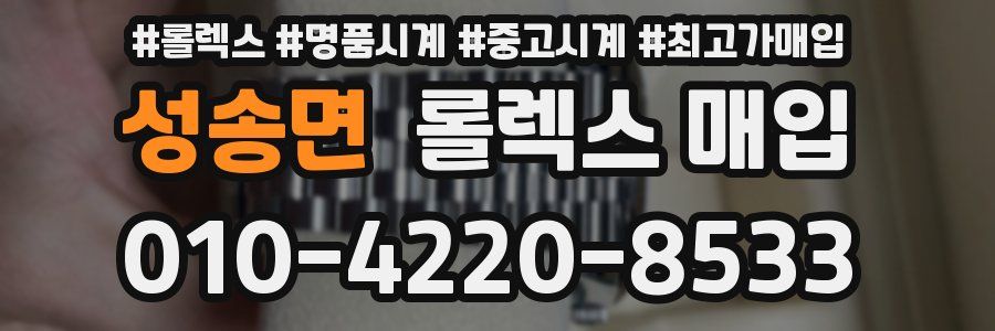 성송면 롤렉스 매입