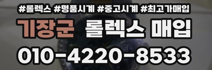 기장군 롤렉스 매입