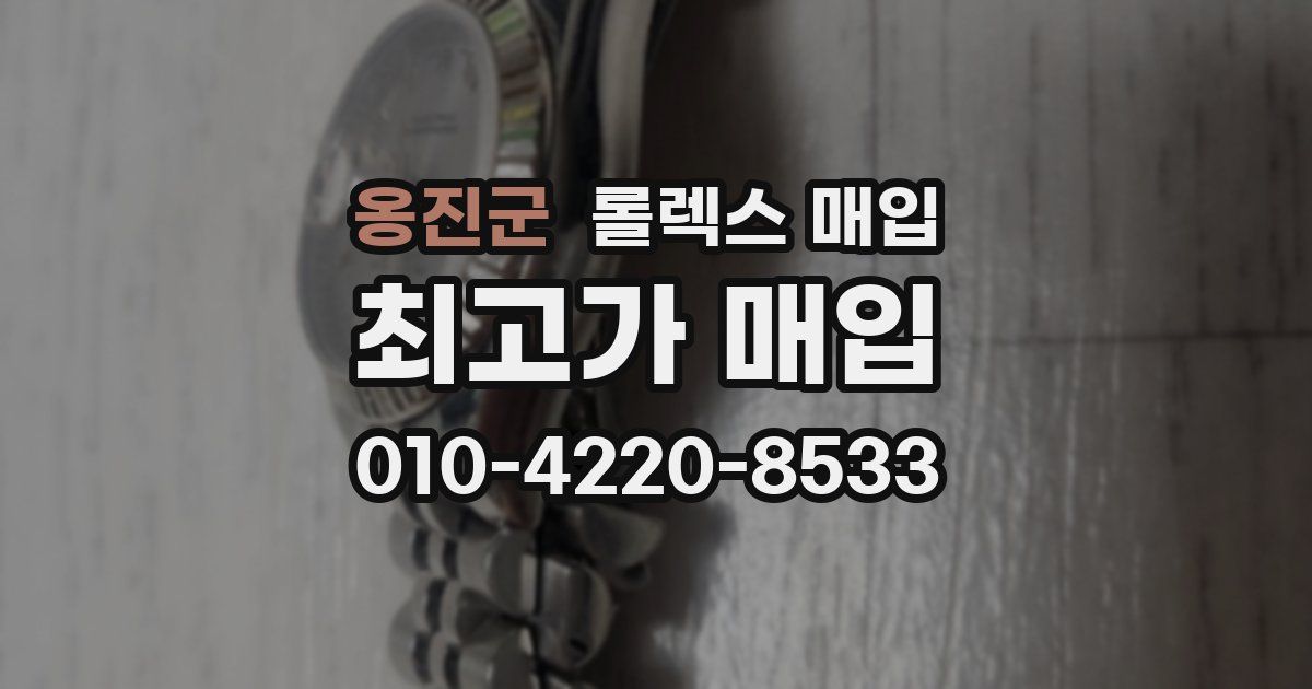 옹진군 롤렉스 매입