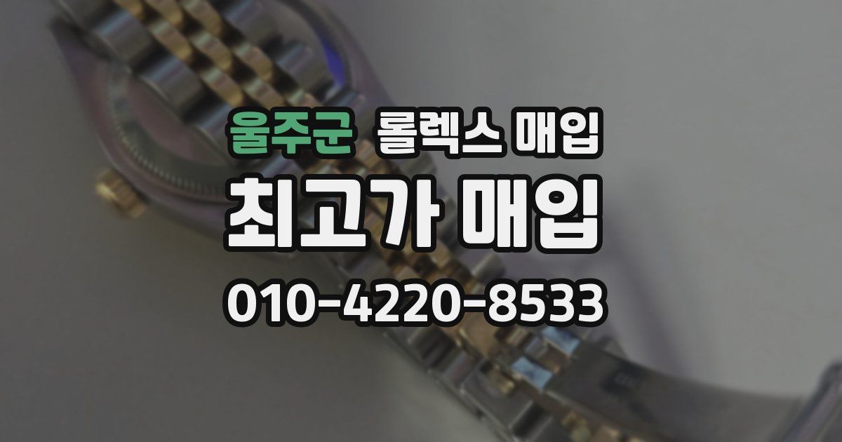 울주군 롤렉스 매입