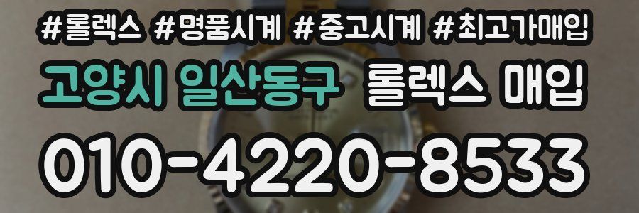 고양시 일산동구 롤렉스 매입