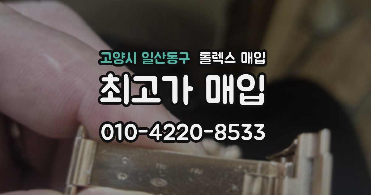 고양시 일산동구 롤렉스 매입
