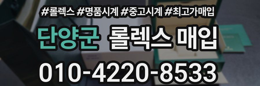 단양군 롤렉스 매입