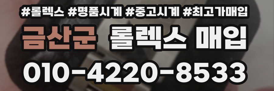 금산군 롤렉스 매입