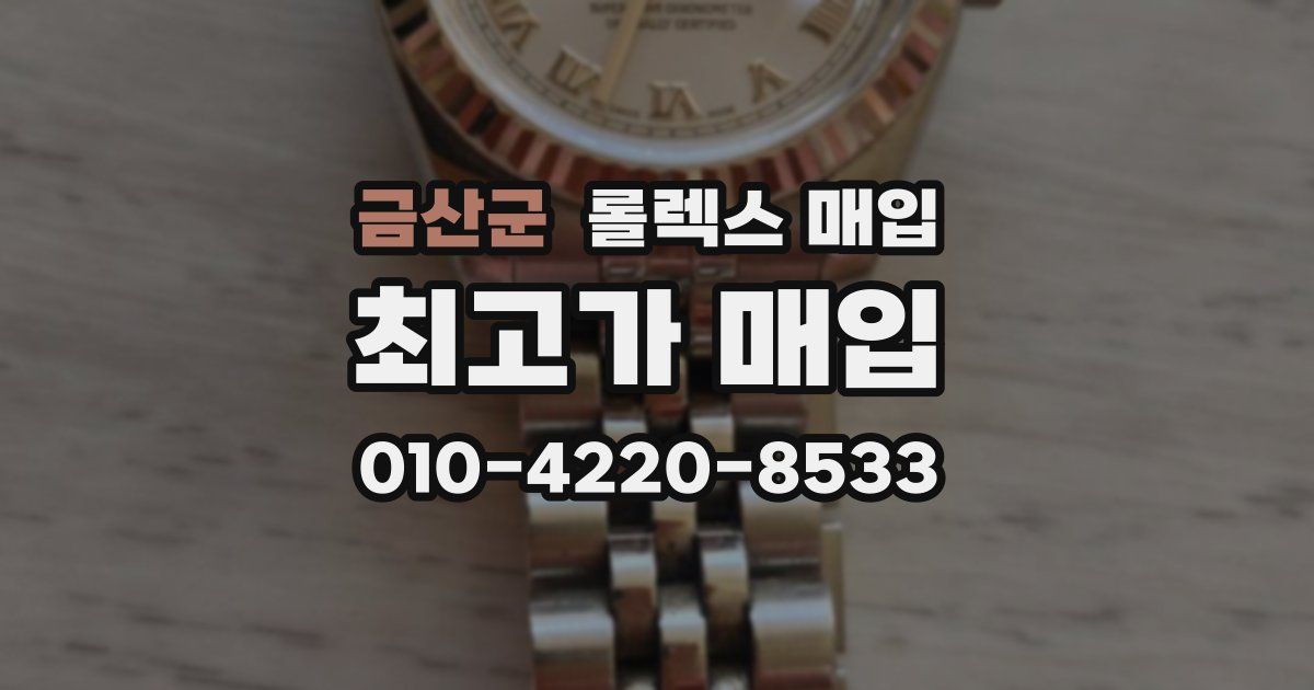 금산군 롤렉스 매입