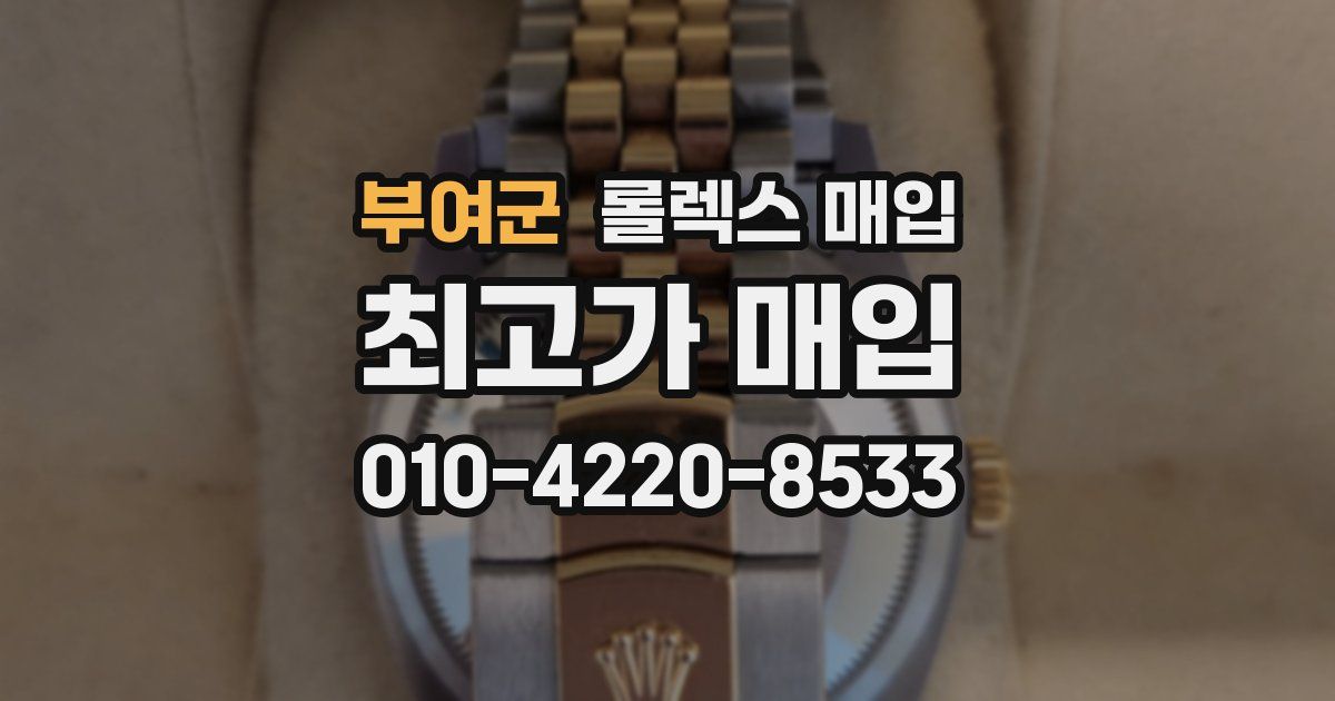 부여군 롤렉스 매입