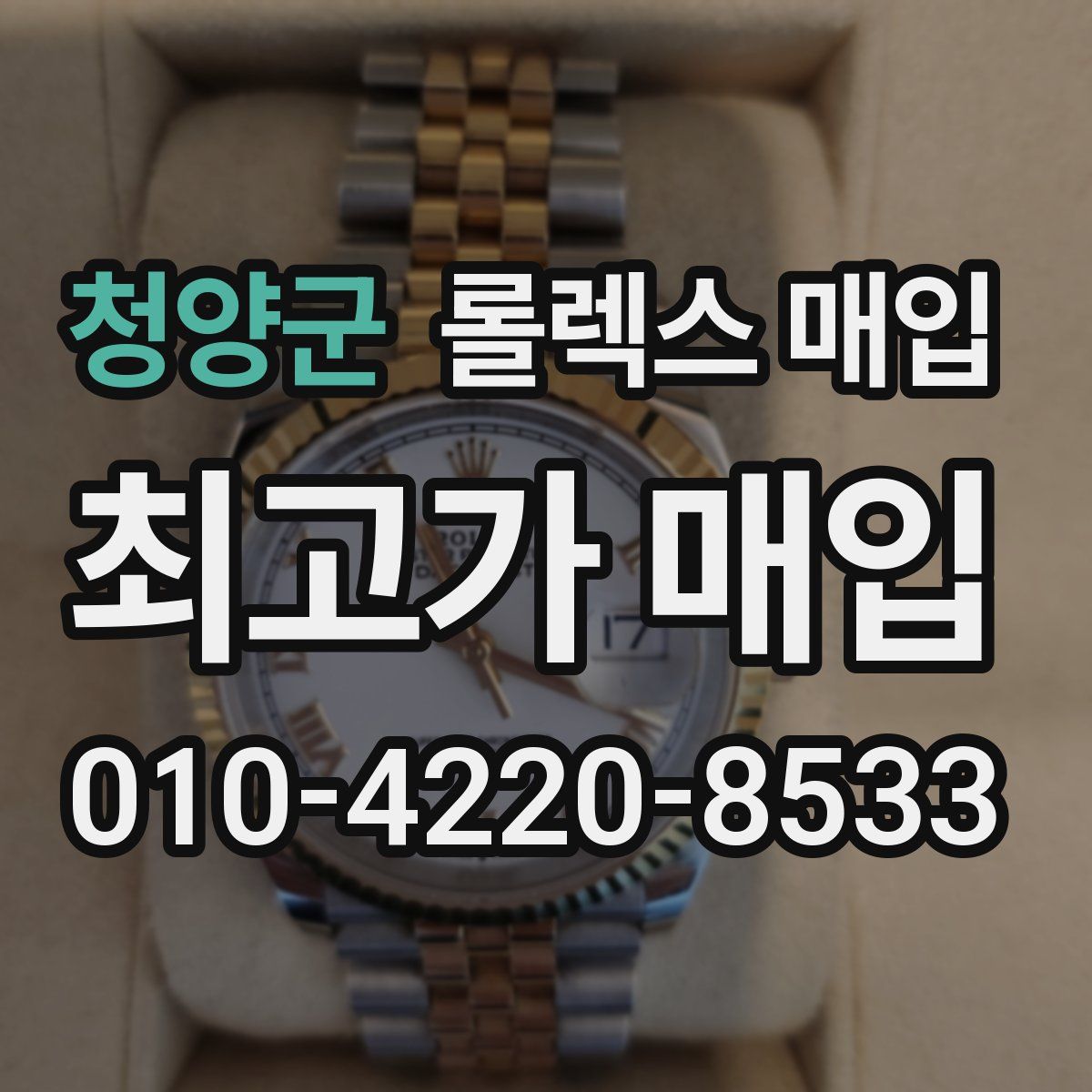 청양군 롤렉스 매입