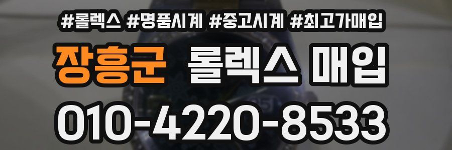 장흥군 롤렉스 매입