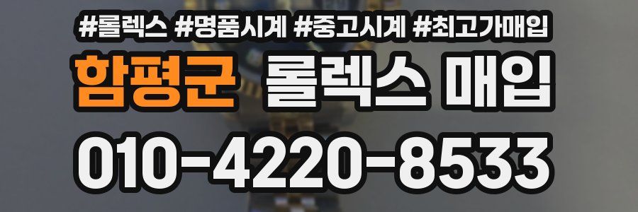 함평군 롤렉스 매입