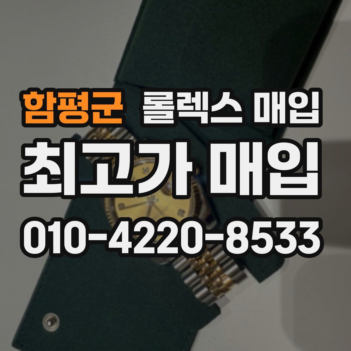 함평군 롤렉스 매입