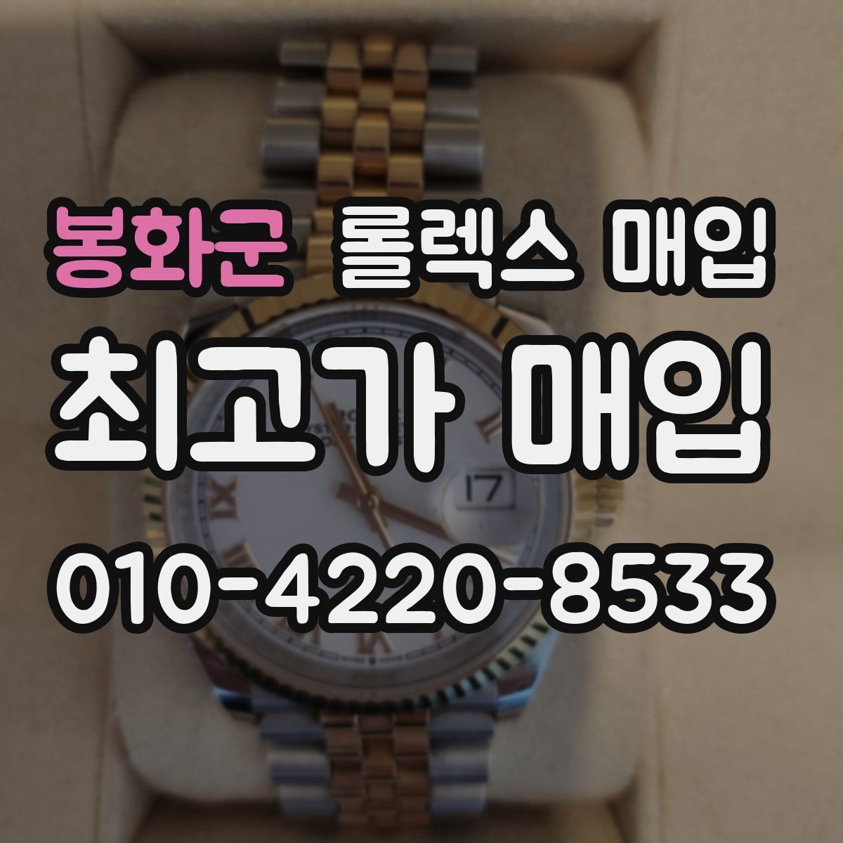 봉화군 롤렉스 매입