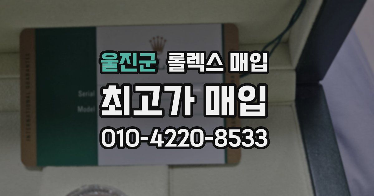 울진군 롤렉스 매입