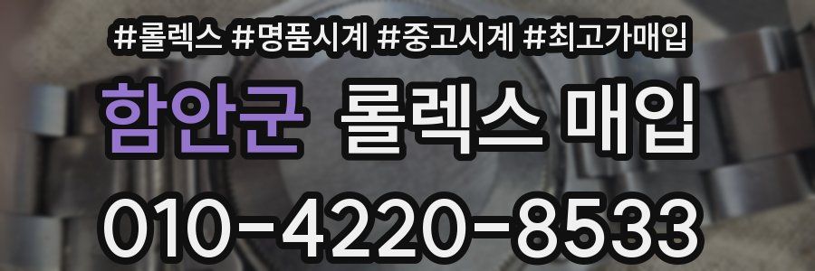 함안군 롤렉스 매입