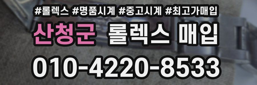 산청군 롤렉스 매입