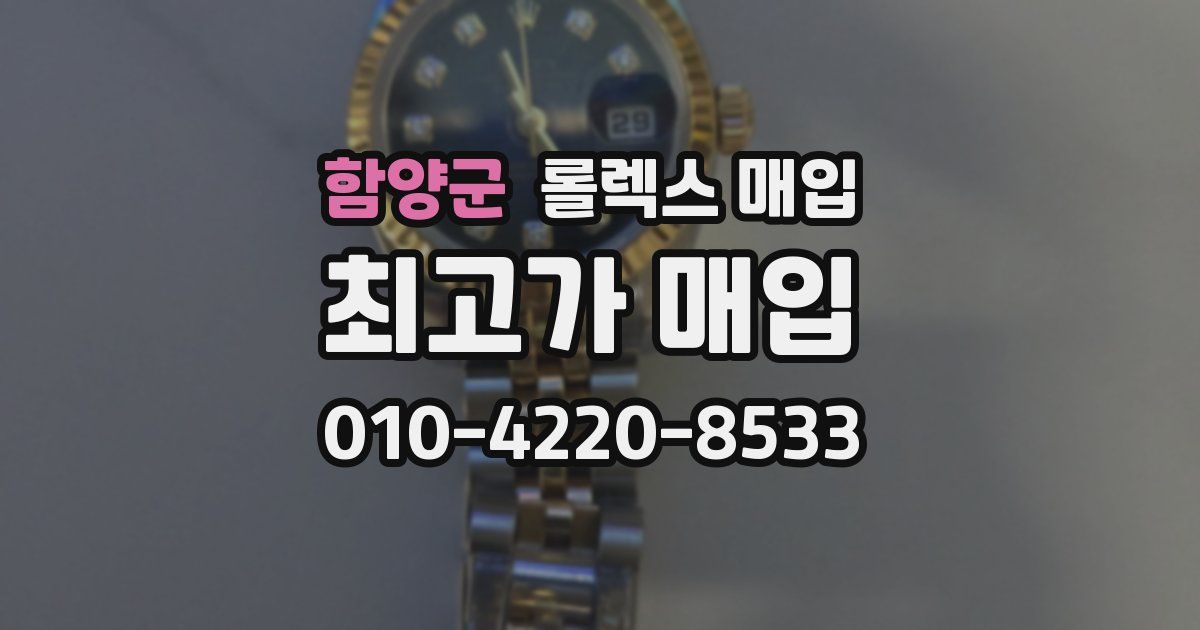 함양군 롤렉스 매입