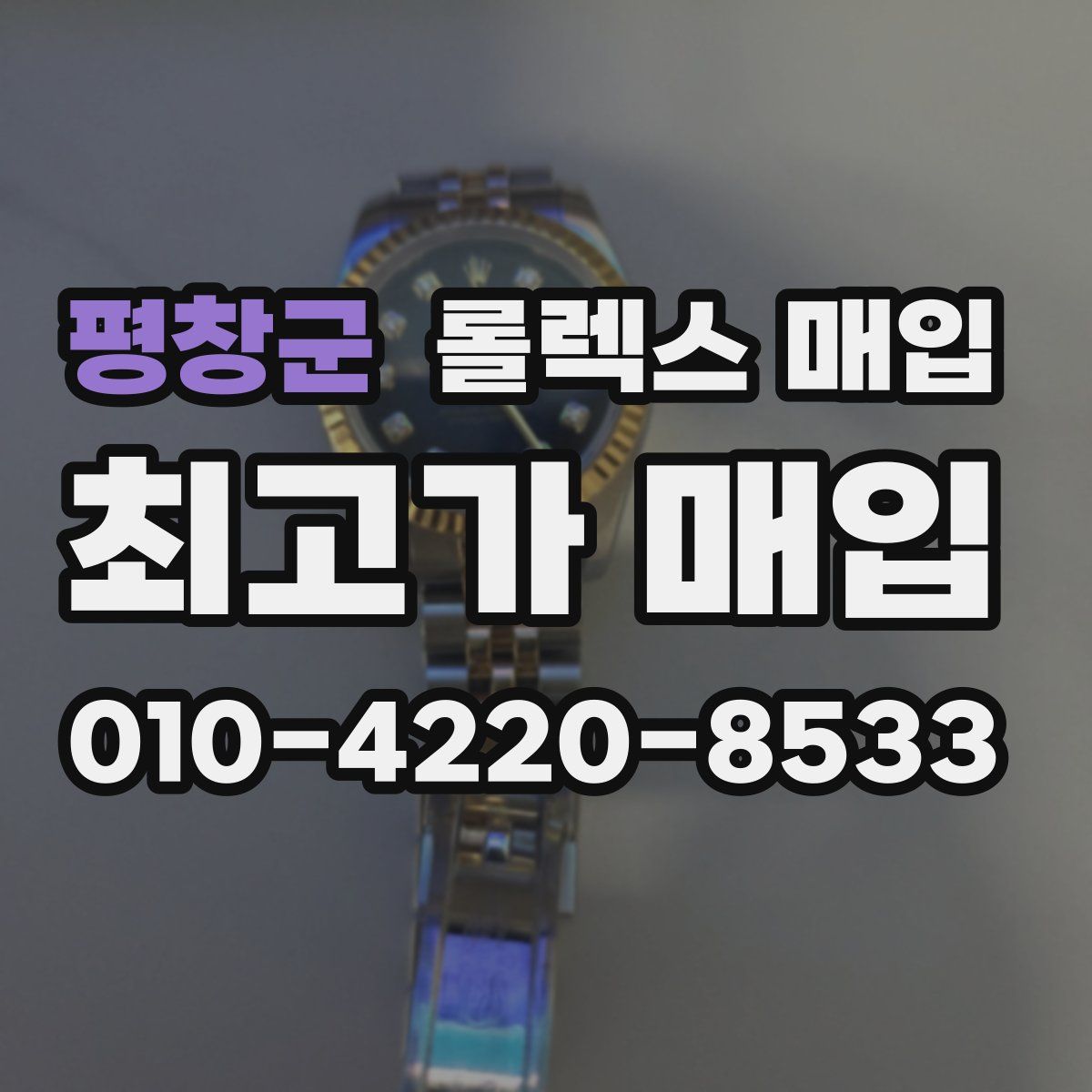 평창군 롤렉스 매입