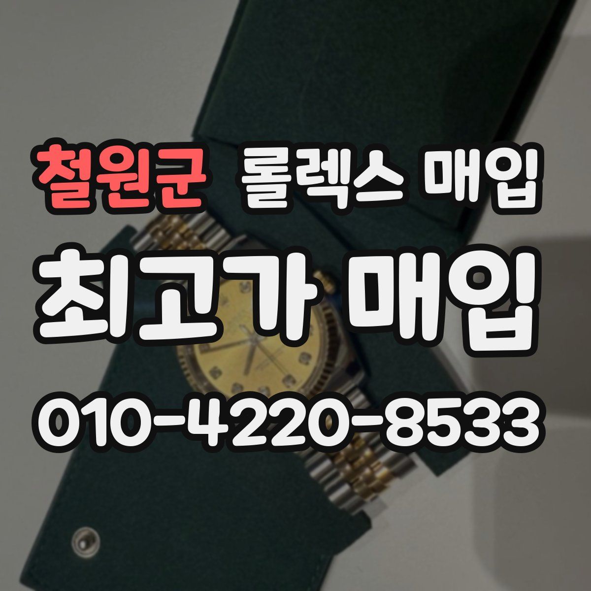 철원군 롤렉스 매입