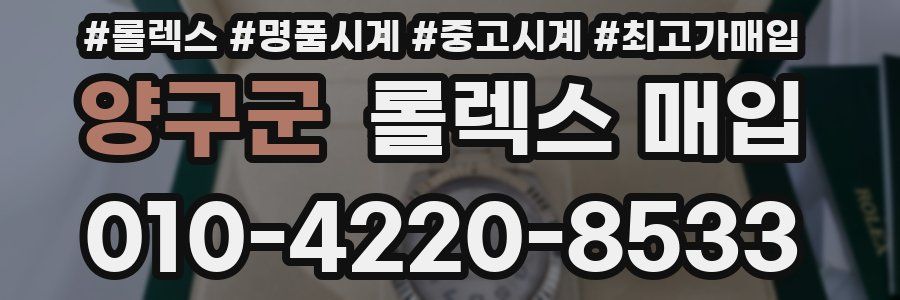 양구군 롤렉스 매입
