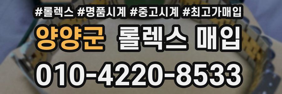 양양군 롤렉스 매입