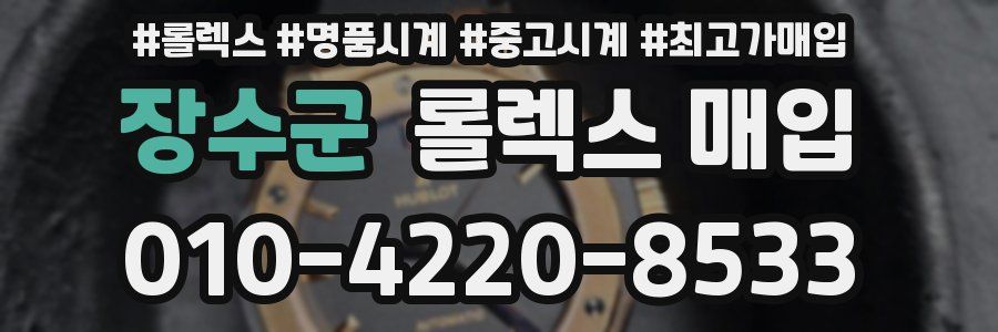 장수군 롤렉스 매입