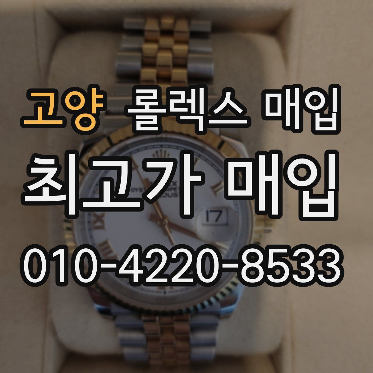 고양 롤렉스 매입