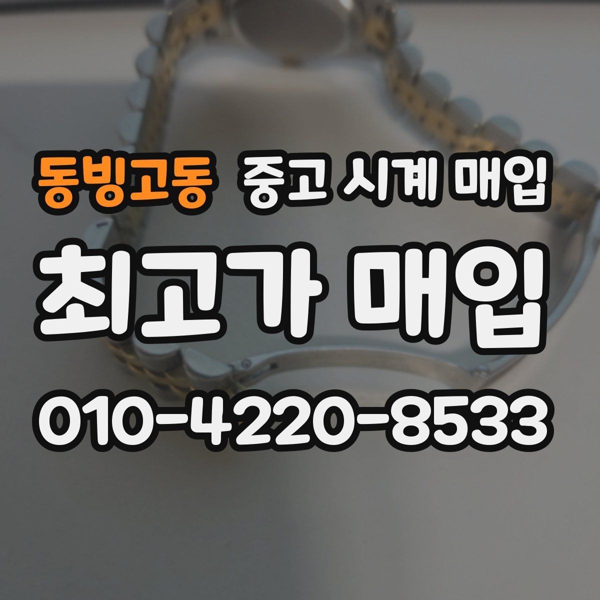 동빙고동 중고 시계 매입 오메가 콤비 라인 시세 포인트 정리