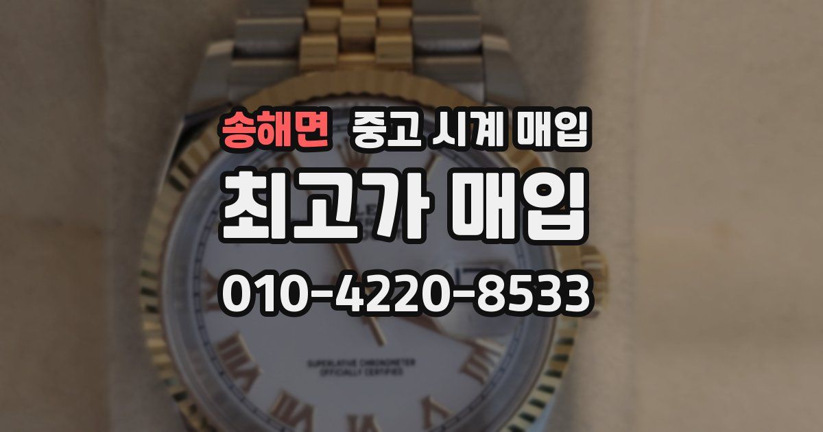 송해면 중고 시계 매입