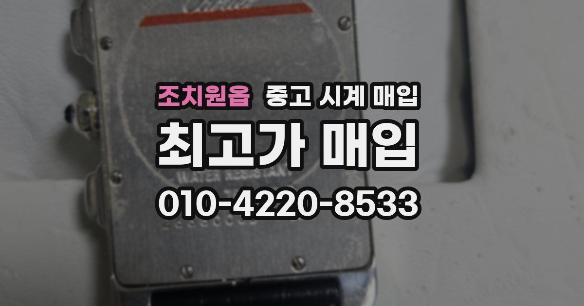 조치원읍 중고 시계 매입