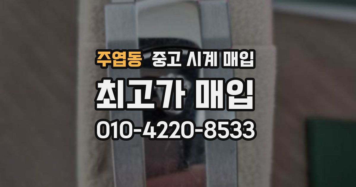주엽동 중고 시계 매입