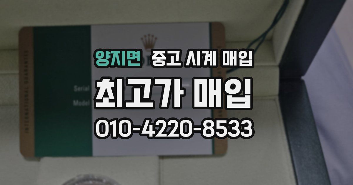 양지면 중고 시계 매입