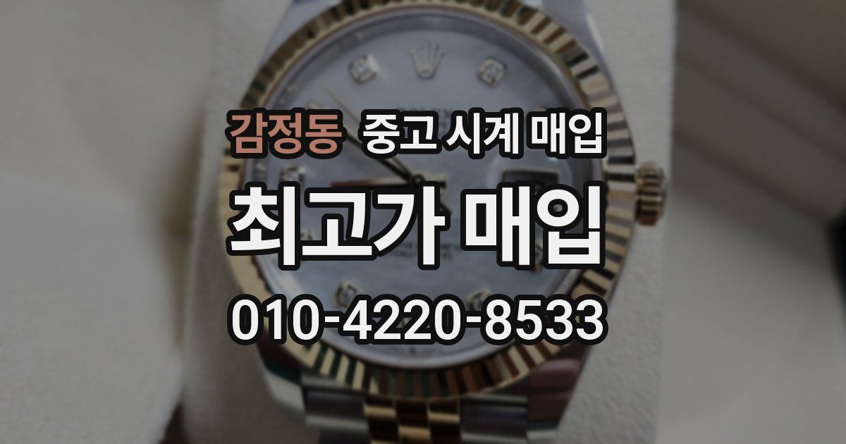 감정동 중고 시계 매입