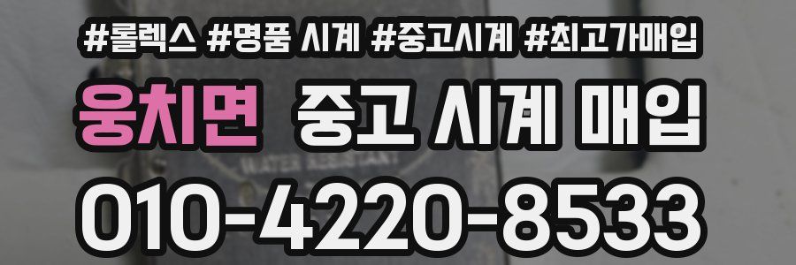 웅치면 중고 시계 매입