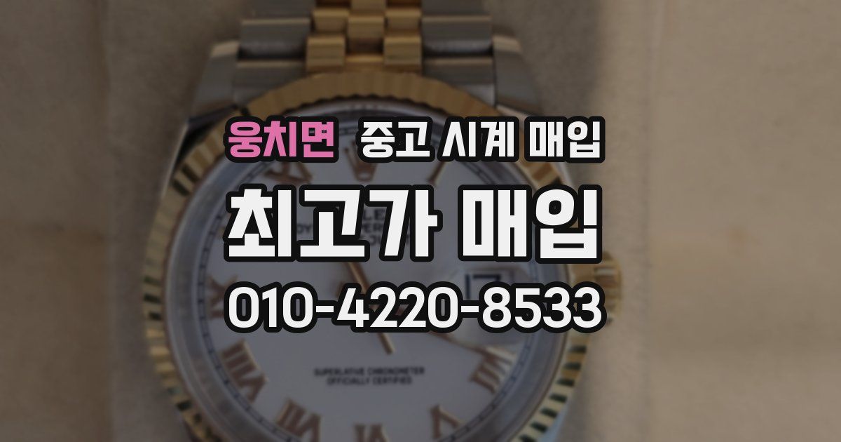 웅치면 중고 시계 매입