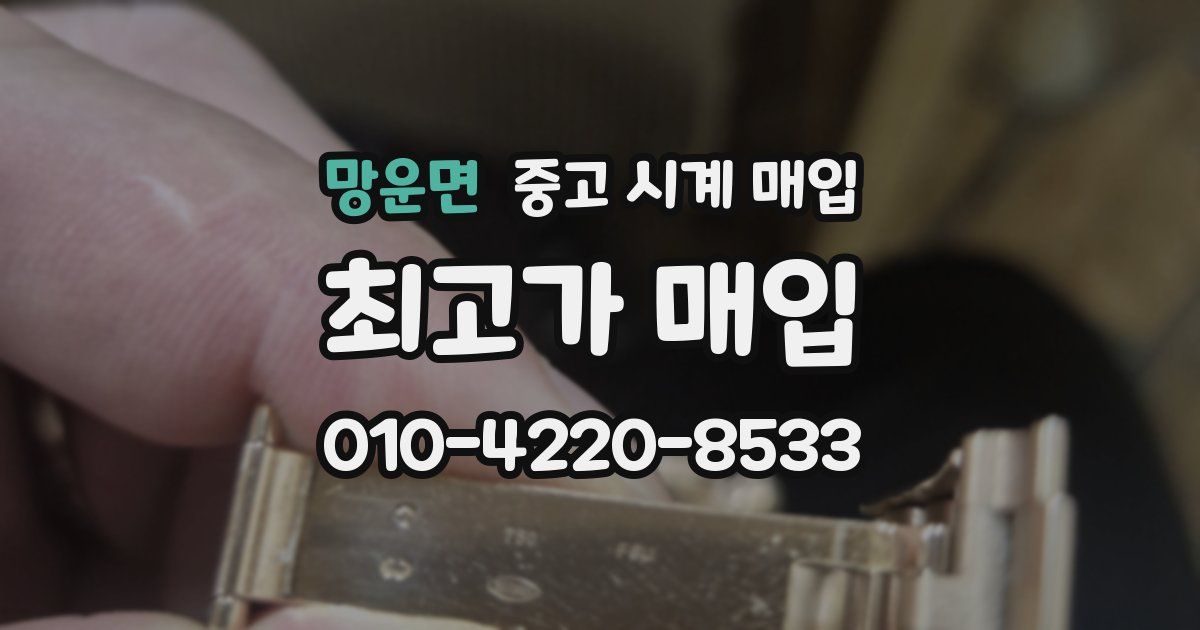 망운면 중고 시계 매입