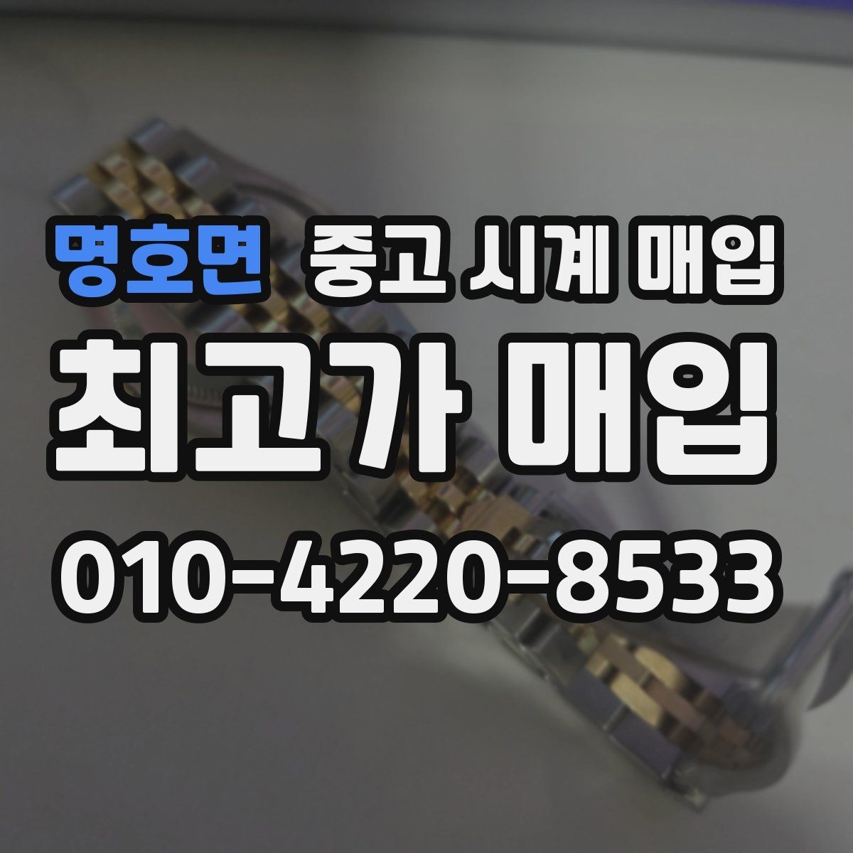 명호면 중고 시계 매입 IWC 다이버 워치 시세 포인트 정리