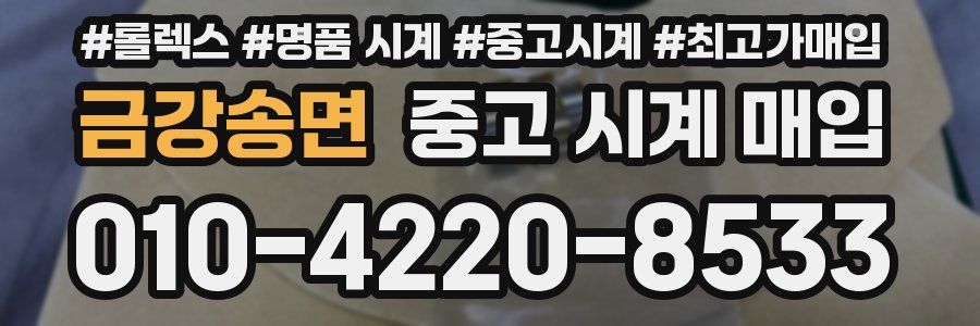 금강송면 중고 시계 매입