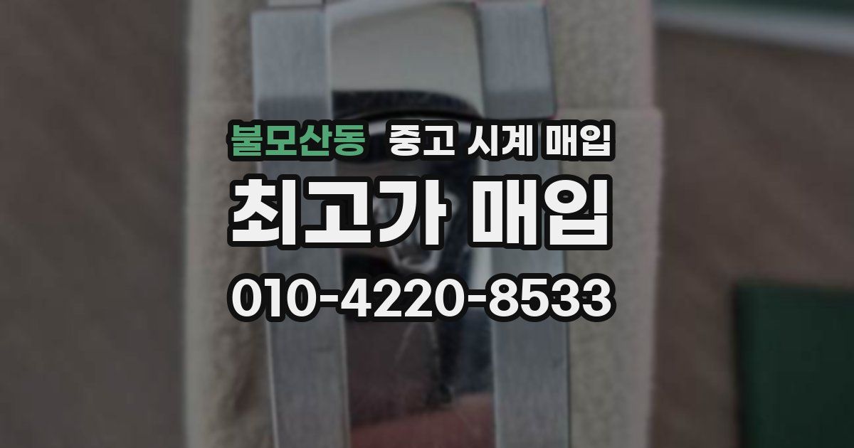 불모산동 중고 시계 매입