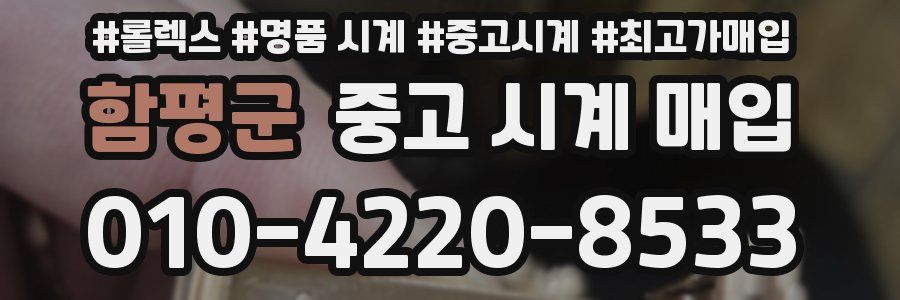 함평군 중고 시계 매입