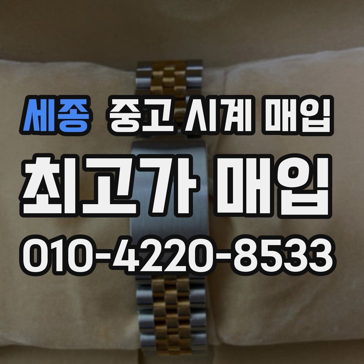 세종 중고 시계 매입 태그호이어 골드 라인 시세 포인트 정리