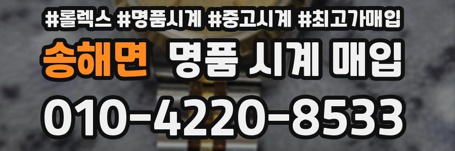 송해면 명품 시계 매입