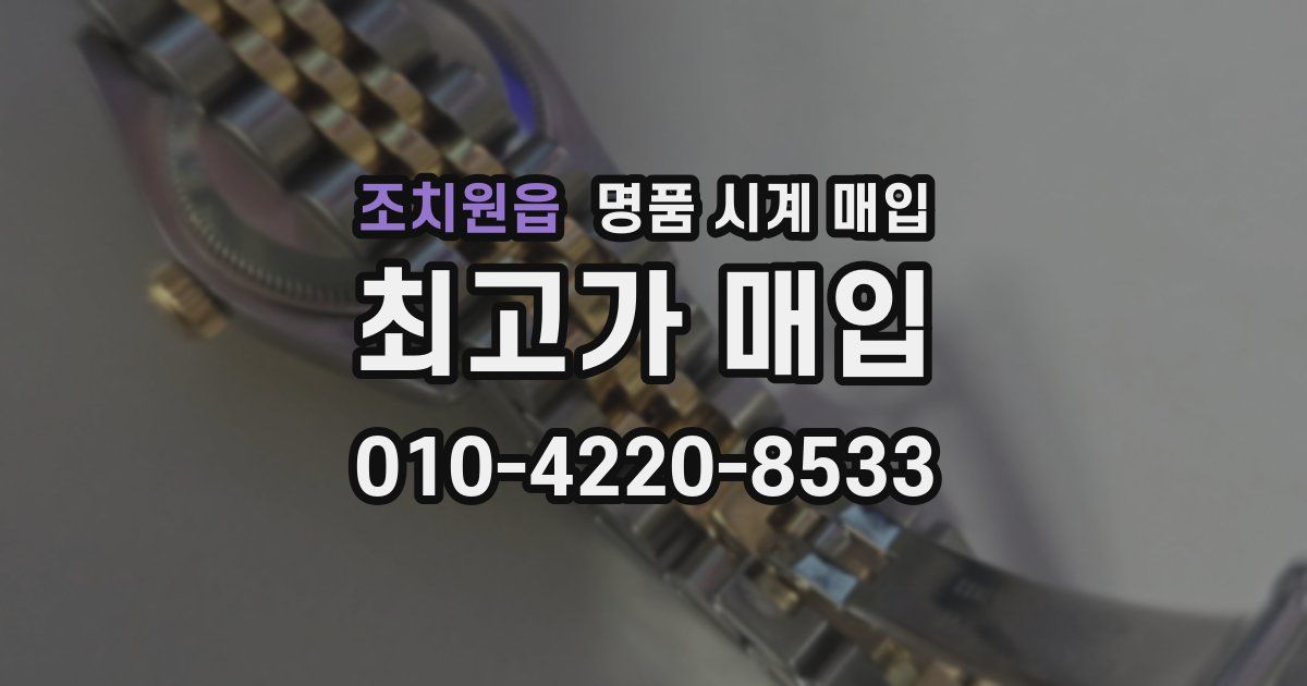 조치원읍 명품 시계 매입