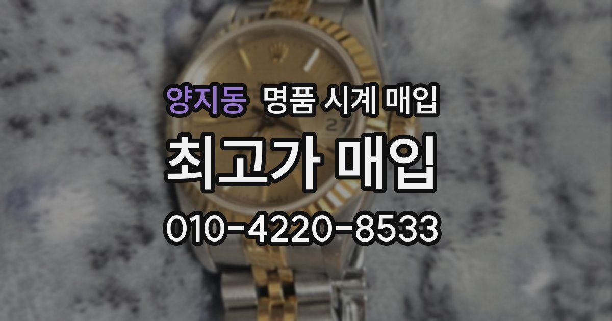 양지동 명품 시계 매입