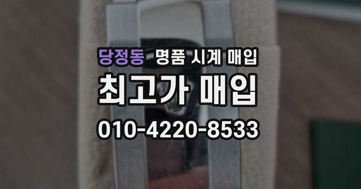 당정동 명품 시계 매입