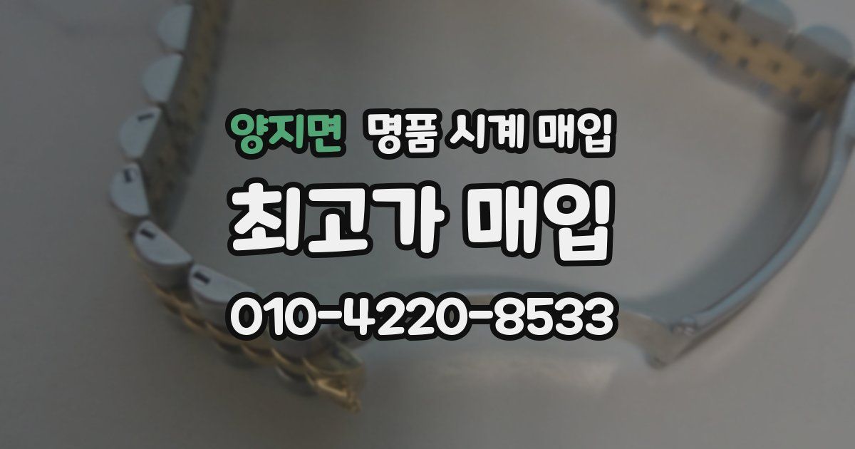 양지면 명품 시계 매입