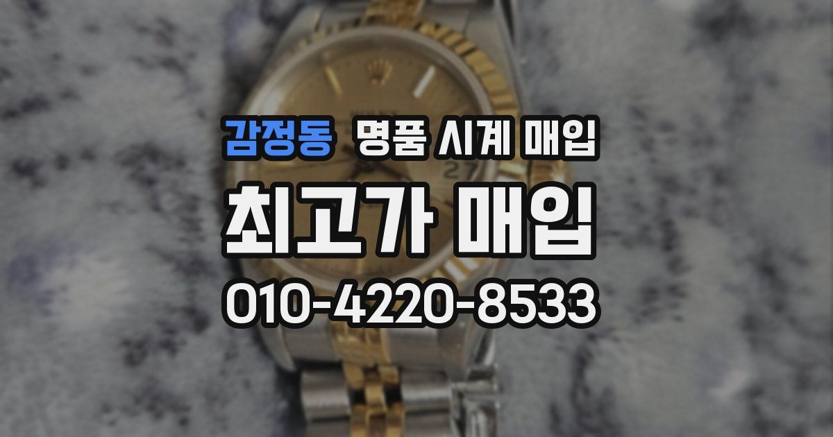 감정동 명품 시계 매입