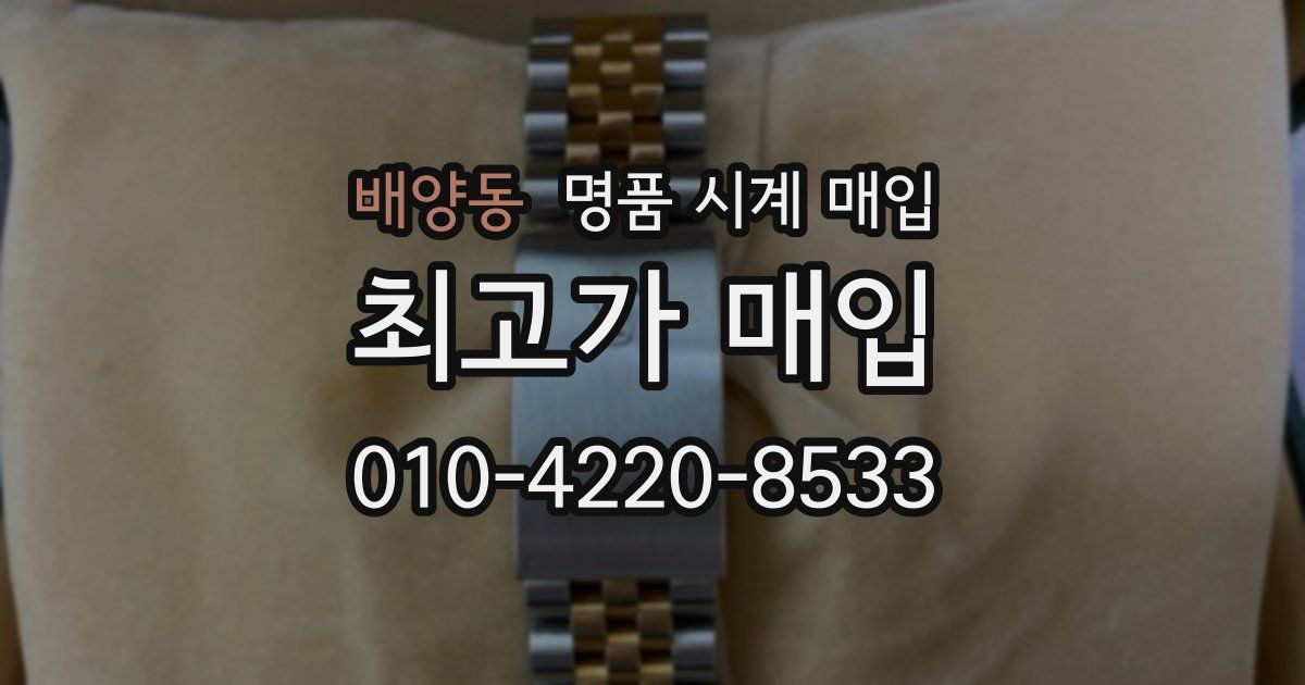 배양동 명품 시계 매입