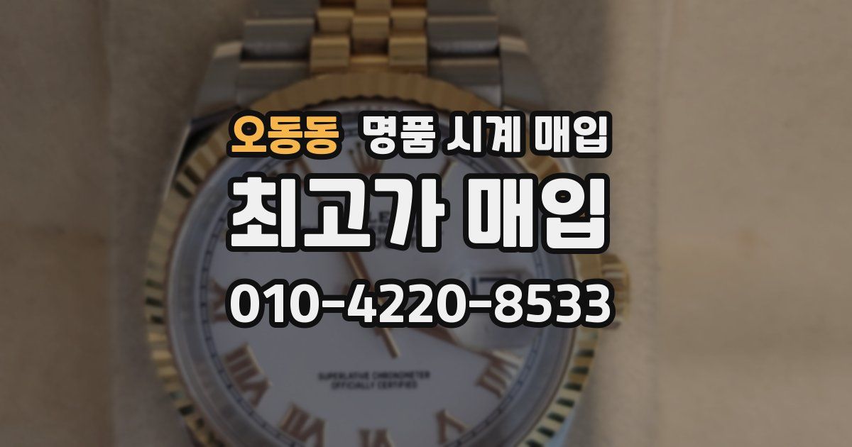 오동동 명품 시계 매입