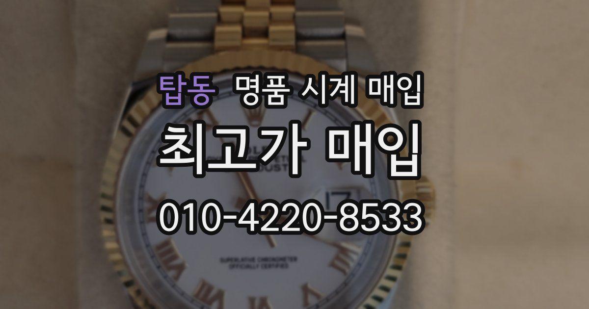 탑동 명품 시계 매입